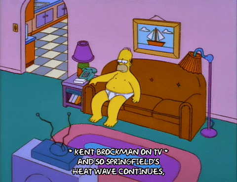 Homer